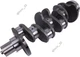 Crankshaft 3916190 for Cummins Engine 4B3.9 4BT3.9 ISL NH855 NT855 QSB3.9 QSB4.5