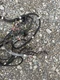 Kubota Zd18 Zd21 Zero Turn Mower Wiring Harness 