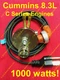 Cummins 8.3 L Diesel Engine Block Heater 1000 Watts! 6C8.3 & 6CT8.3 6CTA8.3