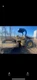 1997 SuperPAC 840P Compactor