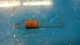 CASE/Ingersoll 220 222 224 444 448 446 Tractor Parking Brake Spring