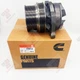 Water Pump 3684450 For Cummins ISX ISX15 QSX QSX15 Engines 4386576 3683651 US