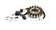 Arctic Cat ZR 3000 2017-2019, Stator - 3307-028 - LXR