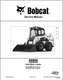 2019 Bobcat S550 Skid-Steer Loader  Part No. 6990677enUS (07-19) Usb