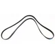 5060610 Dayco Drive Belt for Chevy 550 650 760 750 545 745 645 Chevrolet Sonic