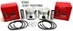 2 NEW .030" OVERSIZED PISTONS FITS KOHLER K582, 23 HP CAST IRON ENGINE 47-874-15