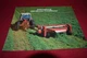 International Harvester 1190 Mower Conditioner Dealer's Brochure DCPA 