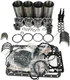 V2203-M Engine Overhaul Rebuild Kit For Kubota L4350DT L4400DT