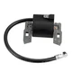 Ignition Coil to Eliminate Points 5hp for Briggs & Stratton 