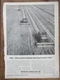 Print AD Massey Ferguson Advertisement for MF 300 Combines 8x11 1964