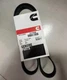 1pc New 217638 Replaces For Cummins Diesel Engine NT855 Water Pump Belt 1pc New 217638 Replaces For Cummins Diesel Engine NT855 Water Pump Belt