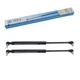 Gas Shock Absorbers for Valmet-Valtra Door 2 Piece YOU.S Genuine