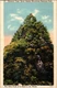 Gatlinburg - Pigeon Forge TN : GREAT SMOKY MOUNTAINS NATIONAL PARK m/14 AX1371