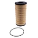 Fuel Filter 4816636 26560201 for Perkins 1100 Series 1104C-44 1104D-44 Engine