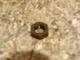 SB7    CASE/Ingersoll 220 222 224 444 Tractor Kohler K321 14hp Flywheel Nut