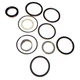 G105528 Backhoe Boom Cylinder Seal Kit Fits Case 580B 580C 580F 450 450B 450C