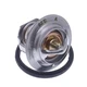 Thermostat 160&deg;F For Kubota M4050 M4050DT M4500 M4900S M4900SU M4900SUD M4030