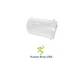 New F Filter BOWL FITS Yanmar YM1301 YM1301D YM1401 YM1401D YM1500 YM1502YM1502D