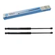 Gas Springs for Steyr Profi 4100 4110 4115 Front Windscreen 2 Piece 82022475 YOU.S
