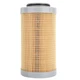 Fuel Water Separator 3635819 for CAT Engine C1.7 C2.2 Excavator 304E2 305E2
