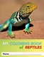 My Coloring Book Of Reptiles: 31 Pages of 8.5 x 11" Fun by Sidney Manglefork Pap