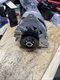 400-30022 Alternator for Agco Allis Tractor 8775 8785 6-402, Massey Ferguson 623