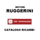 Ruggerini RDM 901/2L engine manual spare parts catalog exploded parts SPARE PARTS