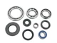 Honda TRX450FE FourTrax Foreman ES 4x4 ATV Front Differential Bearing Kit 02-04