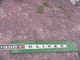Oliver Tractor 1950T Side Panel 