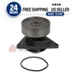 New Water Pump for Cummins 6CT8.3 6CTA8.3 6CTAA 8.3 3804883 3913430 3802081