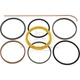 Gasket Set for Case New Holland TS100A TS110A TS115A TS125A MXM100 MXM135