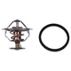 Thermostat 121850-49810 121850-49800 for Komatsu PC75R-2 PC80MR-3 PW75-1 WB70A-1