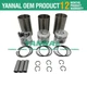 3TNV84 Engine Cylinder Liner Kit For Yanmar US361CAB T2 T3 EF312T EF228 Tractor