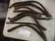 Case 1816 1816B 1816C Hydraulic Hoses