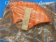 NEW GUARD DEFLECTOR FOR STIHL FS360 FS420 FS550 TRIMMER --- BOX 1449 U