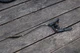 Honda HT-R3811 HT-R3009 Parking Brake Handle and Cable Pipe Assembly USED NLA