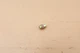 Stihl 050, 051, 076, TS510 Chainsaw OEM Decompression Valve Plug 1111 025 2200