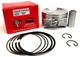1 NEW 19-874-06-S .020" OVERSIZE PISTON & RINGS FIT KOHLER ECV880 PCV850, PCV860