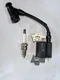 Ignition Module Replacement For KOHLER CV173 CV200 CV224 Engine W/ Spark Plug