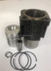 Deutz FL912 Cylinder Kit With Piston F3L912 F4L912,F6L912