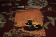 Caterpillar CAT 65E 75E 85E 95E Tractor Brochure FCCA