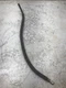 Kohler diesel engine marine generator KDW1404GE 11EKOZD oil line hose