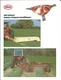 Farm Equipment Brochure - Vicon - CM 165 et al - Mower Conditioner c1981 (F6932)