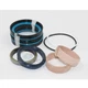 VOE 11999906 Cylinder Sealing Kit For Volvo L120C L120D Wheel Loader