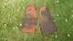 TORO/WHEEL HORSE  LEFT & RIGHT FOOT RESTS 518XI, 520XI, 520LXI, 522XI, & 523DXI