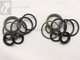 Steering Seal Kit Pair for Case 580C (8983288 & up), 580D, 580SE & 580F