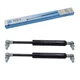 Gas Springs for Case IH CS78 CS86 CS100 CS110 -Door- 2pcs 1-99-976-061 YOU.S