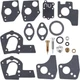 Briggs & Stratton 495606 494624 80200 Carburetor Overhaul Kit (11140)