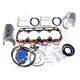 New A2300 Overhaul Re-Ring Kit For Cummins Engine Branson 4720H 4720i Tractor