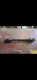 John Deere F710 F725 Mower Deck Driveshaft AM119696
